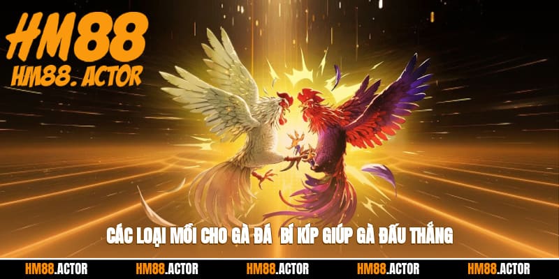 🐓 Các Loại Mồi Cho Gà Đá - Bí Kíp Giúp Chiến Thắng