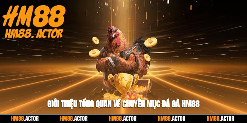  Giới thiệu tổng quan về chuyên mục đá gà HM88