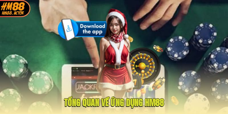  Tổng quan về ứng dụng HM88